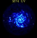M74