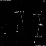 NGC 310