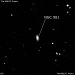 NGC 981