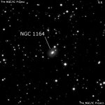 NGC 1164