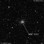 NGC 2161