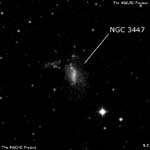 NGC 3447