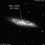 NGC 3556