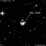 NGC 3836