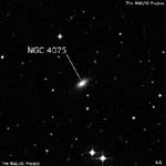 NGC 4075