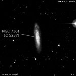 NGC 7361